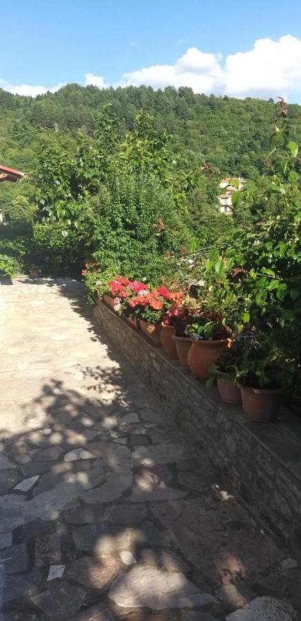 Το Σπίτι Της Ευτυχίας Σουίτα Apartamento Karpenísion Exterior foto